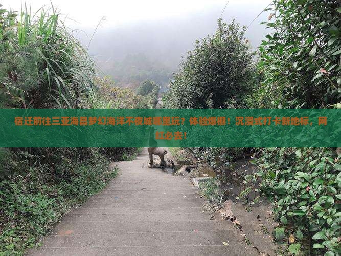 宿迁前往三亚海昌梦幻海洋不夜城哪里玩 宿迁前往三亚海昌梦幻海洋不夜城哪里玩