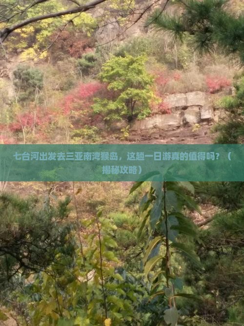 七台河前往三亚南湾猴岛一日游