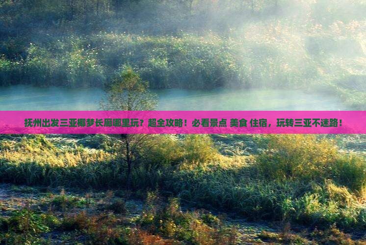抚州出发三亚椰梦长廊哪里玩