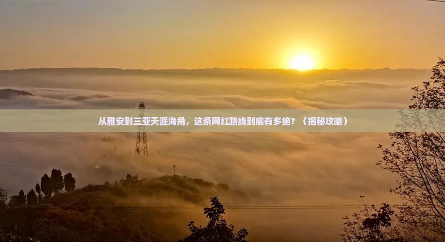 雅安前往三亚天涯海角旅游网红地点