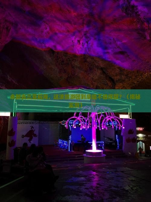 永新去三亚后海大型旅游团