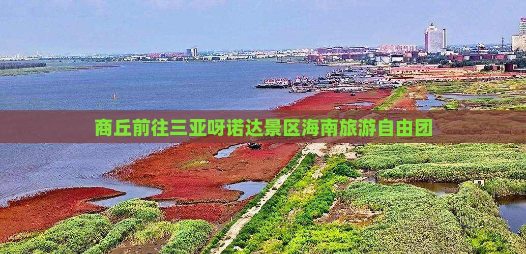 商丘前往三亚呀诺达景区自由团