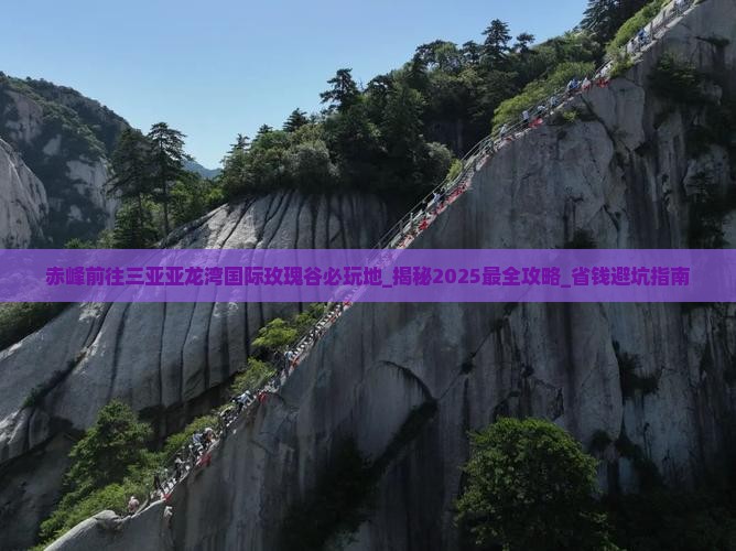 赤峰前往三亚亚龙湾国际玫瑰谷必玩地