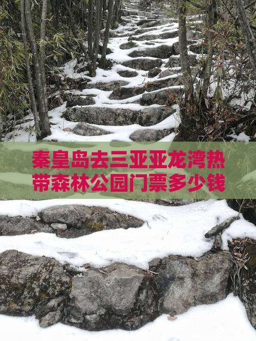 秦皇岛去三亚亚龙湾热带森林公园门票