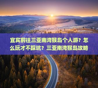 宜宾前往三亚南湾猴岛个人游