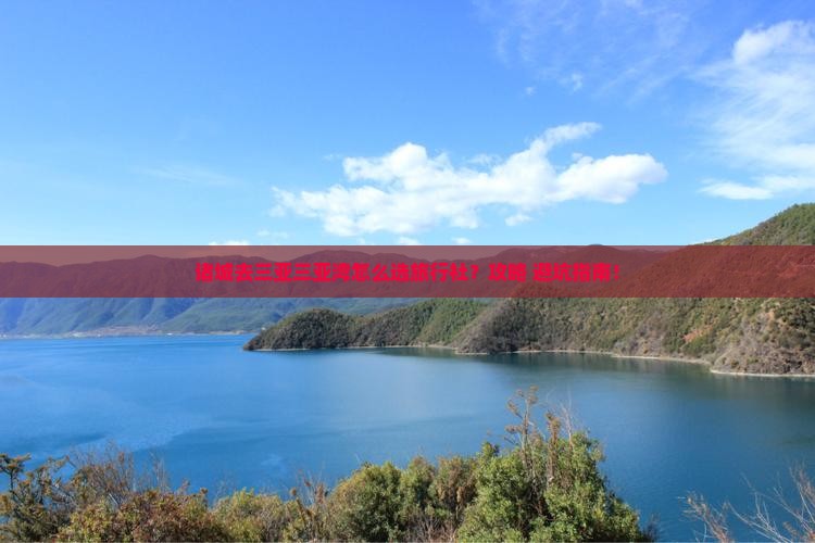 诸城前往三亚三亚湾旅行社