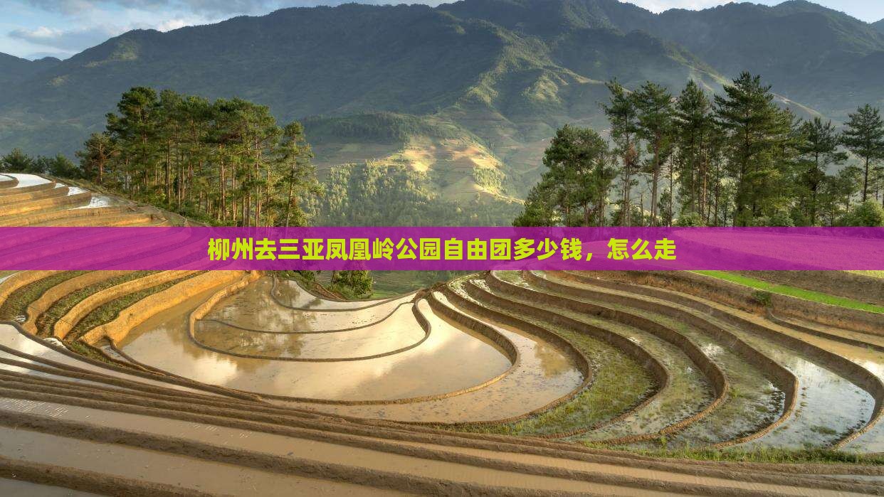 柳州去三亚凤凰岭公园自由团