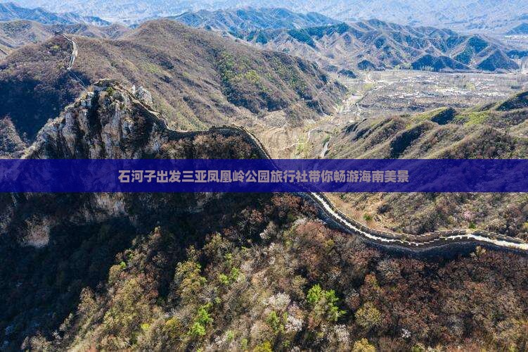 石河子出发三亚凤凰岭公园旅行社