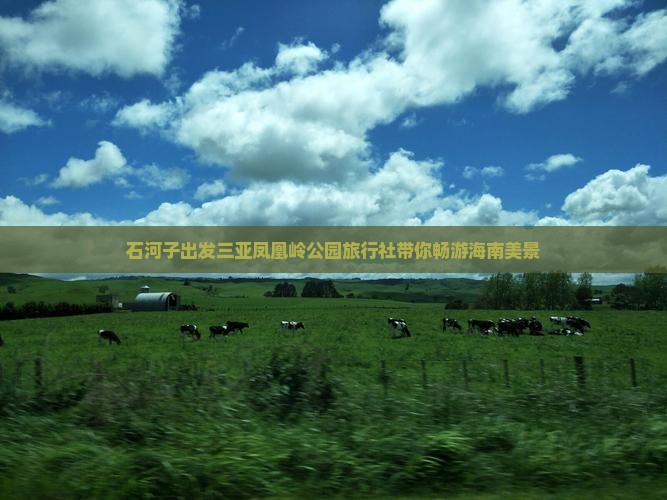 石河子出发三亚凤凰岭公园旅行社