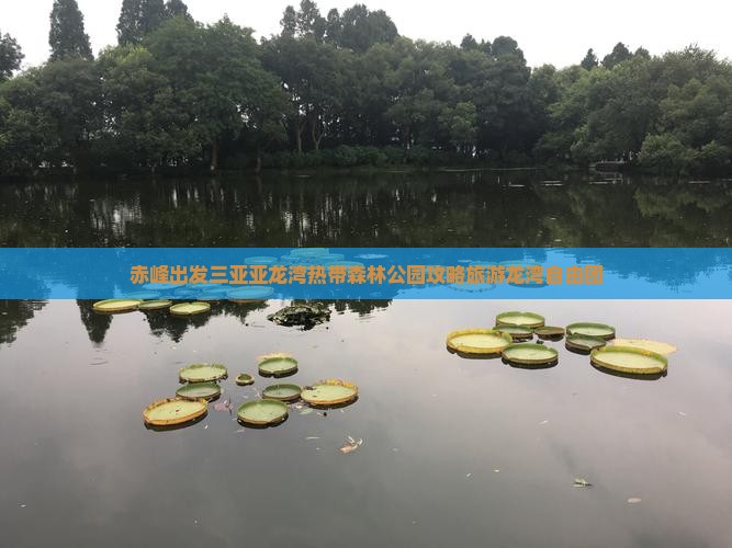 赤峰去三亚亚龙湾热带森林公园自由团