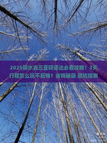 丽水去三亚呀诺达景区旅行社
