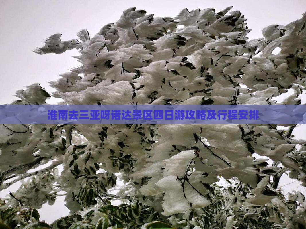 淮南去三亚呀诺达景区四日游