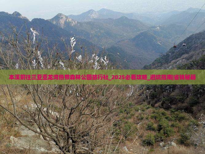 本溪前往三亚亚龙湾热带森林公园旅行社