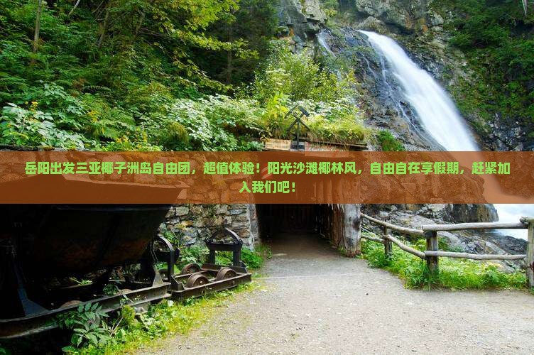岳阳出发三亚椰子洲岛自由团