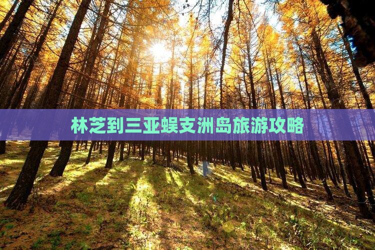 林芝去三亚蜈支洲岛旅游网红地点