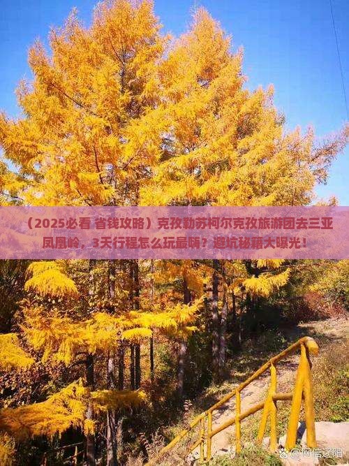 克孜勒苏柯尔克孜去三亚凤凰岭公园大型旅游团