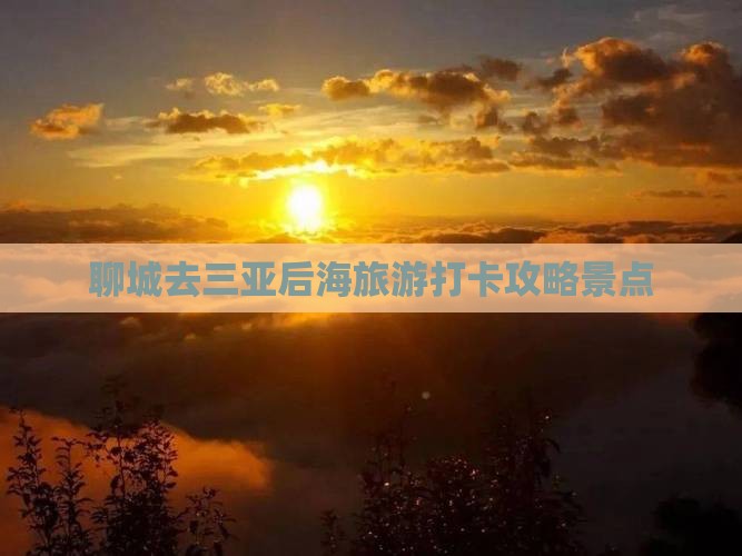 聊城去三亚后海旅游打卡点