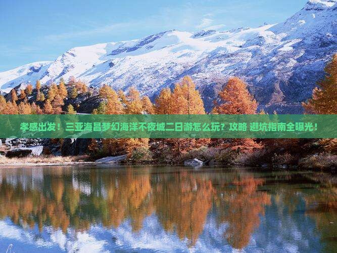 孝感去三亚海昌梦幻海洋不夜城二日游