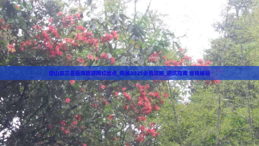 唐山去三亚后海旅游网红地点