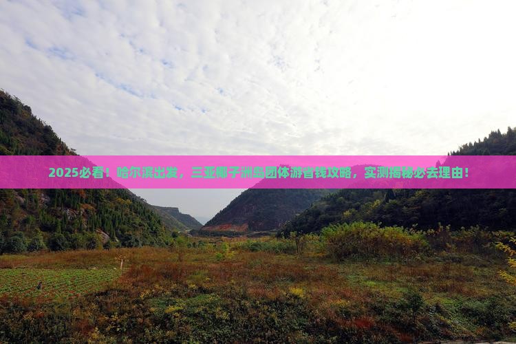 哈尔滨前往三亚椰子洲岛团体旅游