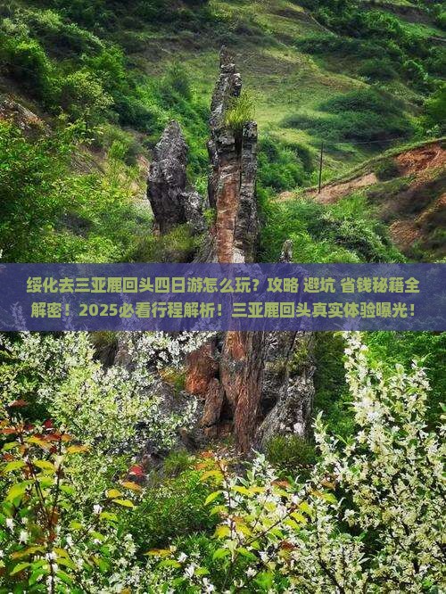 绥化去三亚鹿回头四日游