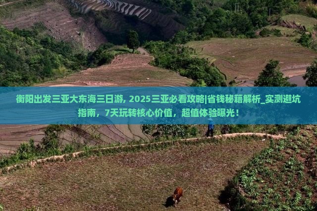 衡阳出发三亚大东海三日游
