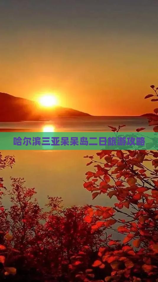 哈尔滨去三亚呆呆岛二日游
