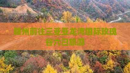 赣州前往三亚亚龙湾国际玫瑰谷六日游