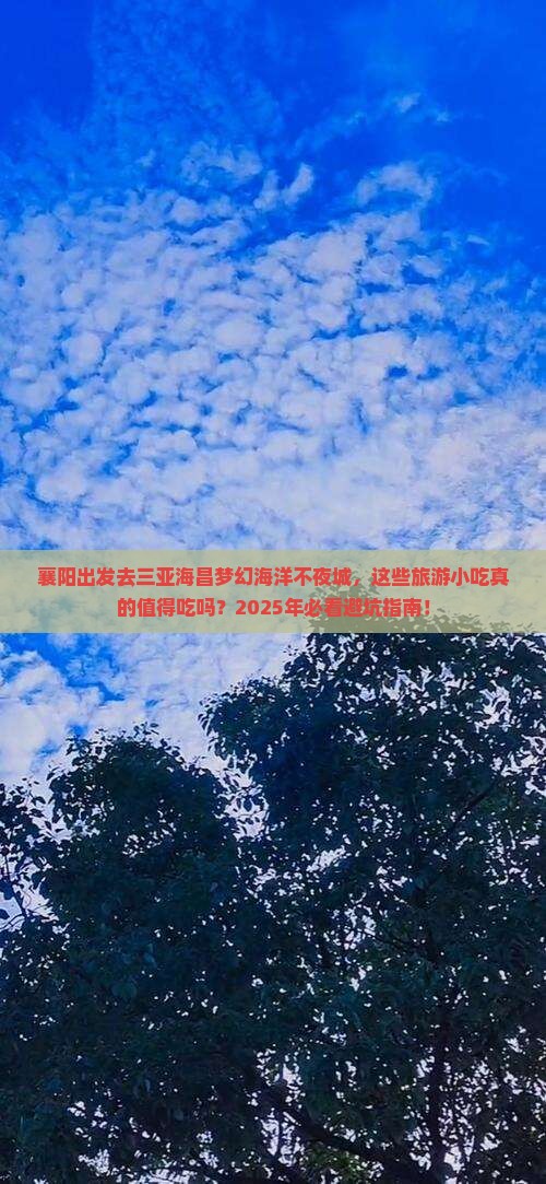 襄阳前往三亚海昌梦幻海洋不夜城旅游小吃