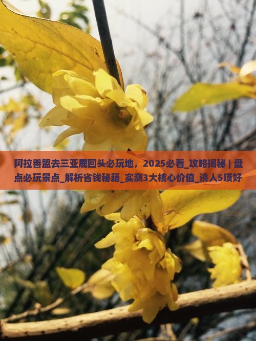 阿拉善盟去三亚鹿回头必玩地