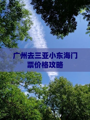 广州去三亚小东海门票 广州去三亚小东海门票