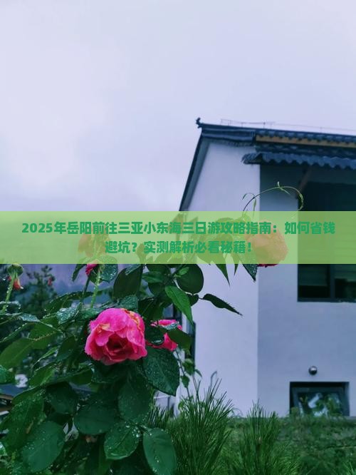 岳阳前往三亚小东海三日游