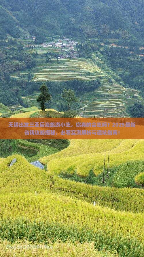 无锡出发三亚后海旅游小吃