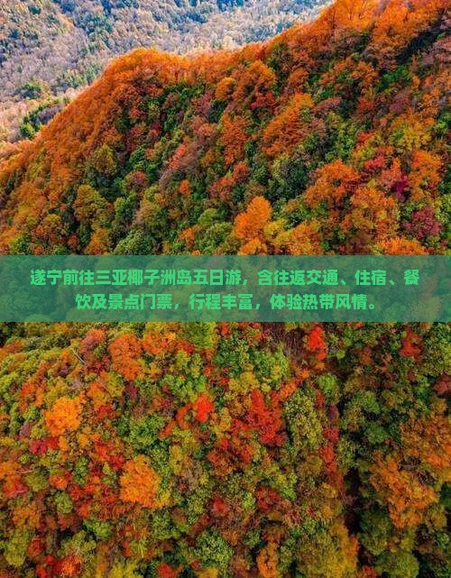 遂宁前往三亚椰子洲岛五日游
