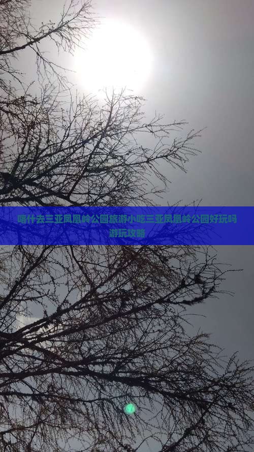 喀什去三亚凤凰岭公园旅游小吃 喀什去三亚凤凰岭公园旅游小吃