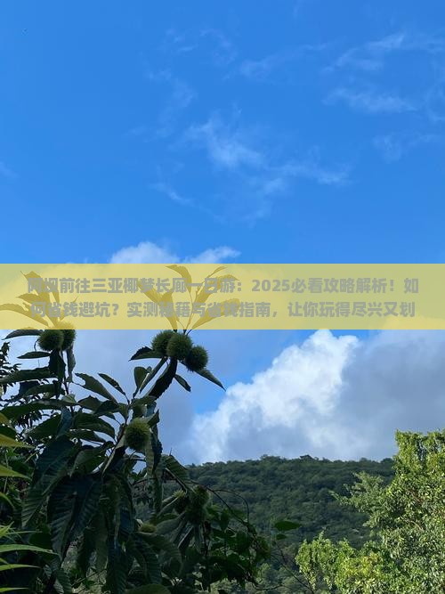阿坝前往三亚椰梦长廊一日游