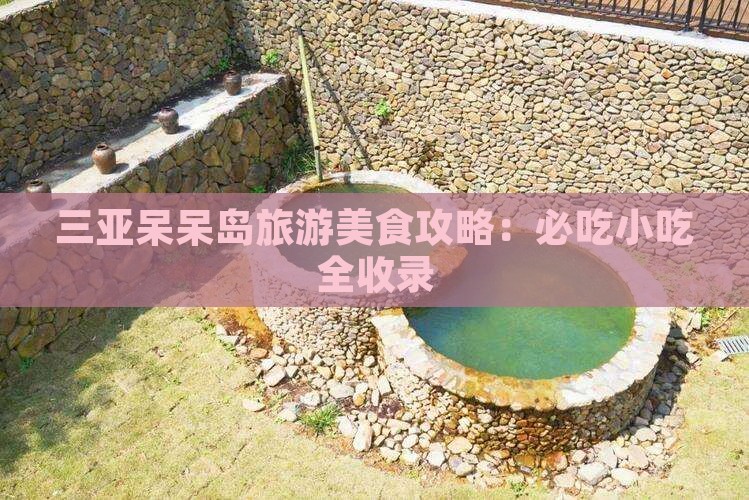大同出发三亚呆呆岛旅游小吃