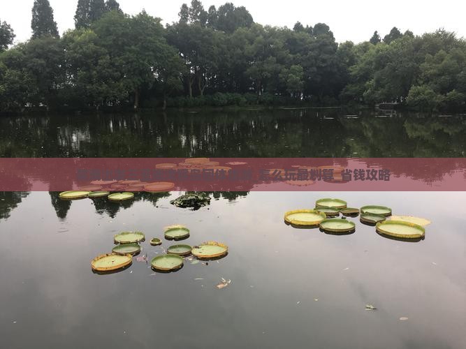 陇南出发三亚南湾猴岛团体旅游