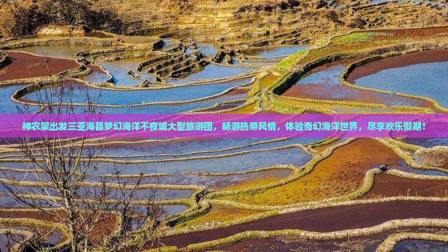 神农架出发三亚海昌梦幻海洋不夜城大型旅游团