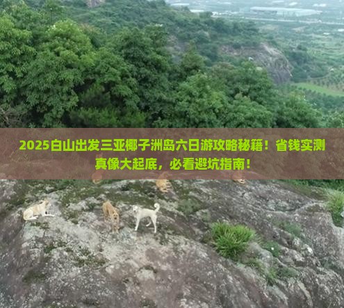 白山出发三亚椰子洲岛六日游