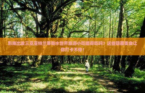 黔南出发三亚亚特兰蒂斯水世界旅游小吃
