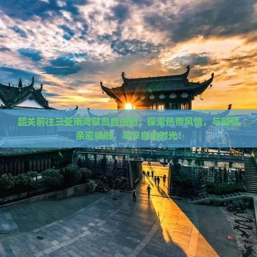韶关前往三亚南湾猴岛自由团