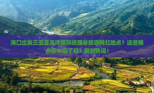 海口出发三亚亚龙湾国际玫瑰谷旅游网红地点