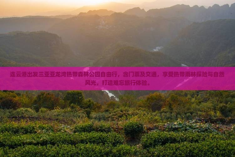 连云港出发三亚亚龙湾热带森林公园自由行