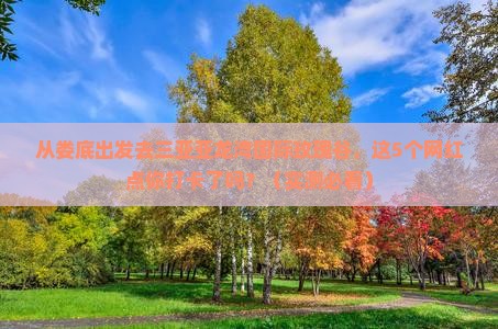 娄底出发三亚亚龙湾国际玫瑰谷旅游网红地点