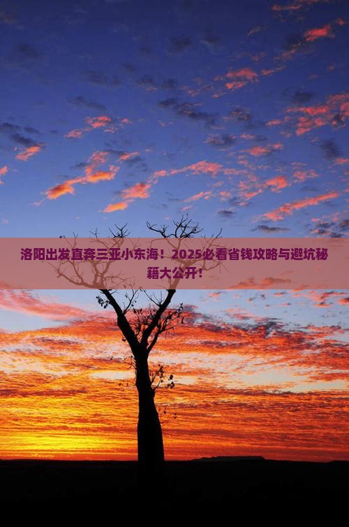 洛阳前往三亚小东海旅行社