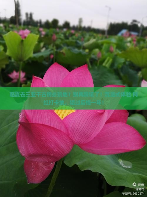 临夏去三亚千古情必玩地