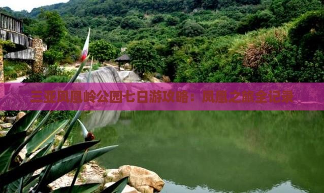 清远去三亚凤凰岭公园七日游