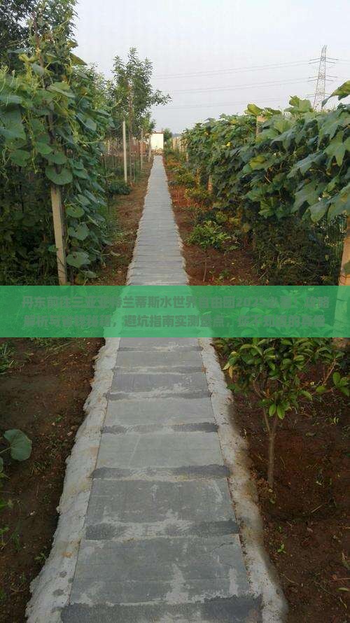 丹东前往三亚亚特兰蒂斯水世界自由团