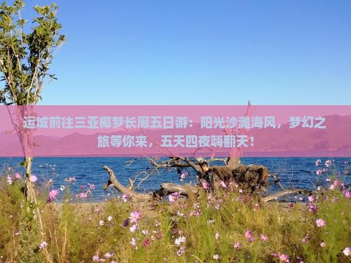 运城前往三亚椰梦长廊五日游